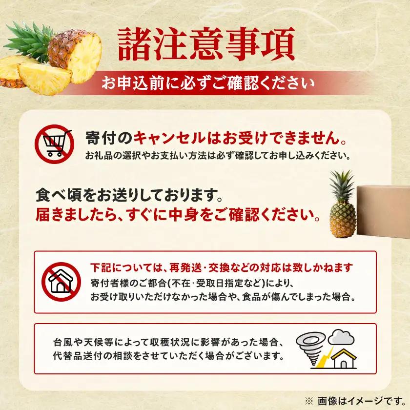 【発送月固定定期便】2027年発送 今帰仁村パイン産地協議会 3種のパイナップルの食べ比べ全3回【配送不可地域：離島】【4086626】
