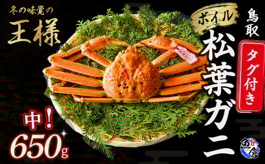 【先行予約】【魚倉】タグ付きボイル松葉ガニ（中650g）冷蔵 カニ ボイル 松葉ガニ タグ付き 新鮮 カニ爪 ズワイガニ ずわいがに おすすめ 国産 鮮度抜群 鳥取県 倉吉市