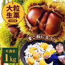 【ふるさと納税】【先行予約】【9月中旬から順次発送】自然な甘みと豊かな香り！くり 栗 生栗 栗ご飯 果物 愛媛県産高級和栗 大粒生栗 1kg　愛媛県大洲市/あじさい農園[AGAE009]