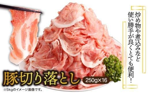 ＜2026年3月発送分＞宮崎県産 豚肉切り落とし 250g×16パック 合計4kg