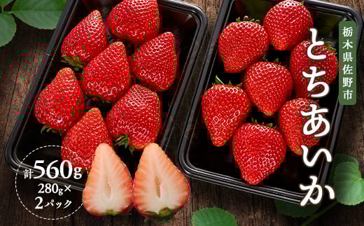 新品種栃木県佐野産とちあいか　280g×2パック【1372413】