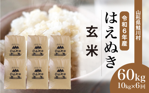＜令和6年産米＞ 令和6年12月下旬より配送開始 はえぬき【玄米】60kg定期便(10kg×6回)　鮭川村