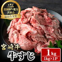 【ふるさと納税】宮崎牛 牛すじ(1kg) 牛肉 肉 ブランド牛 冷凍 国産 精肉 お取り寄せ 黒毛和牛 宮崎県 【LJ016】【レグセントジョイラー株式会社】