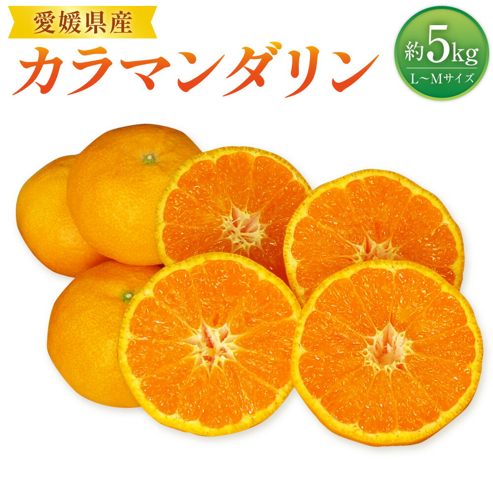 【ふるさと納税】カラマンダリン L～Mサイズ 約5kg みかん ミカン 蜜柑 柑橘 フルーツ 果物 果物 くだもの 宇和 お取り寄せ デザート おやつ 常温 送料無料 (523)【2026年4月上旬～2026年5月上旬発送予定】