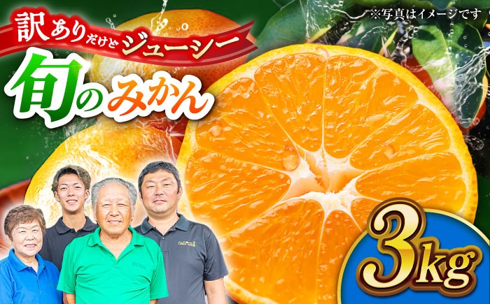 
                  【訳あり】家庭用 みかん 約3kg 詰め合わせ 柑橘【合同会社 社方園】  1万円以下 10000円以下 [ZBZ020]
                