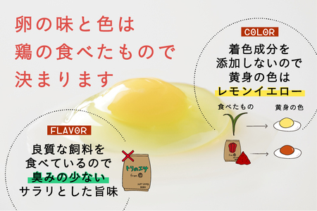 こだわりの無投薬･平飼い有精卵 120個《厚真町》【テンアール株式会社】 卵 卵 卵 卵 卵 卵 卵 [AXAN076]