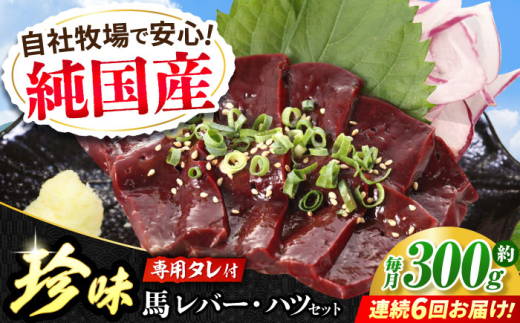 【全6回定期便】『純国産』熊本の味 馬 珍味 セット 計約200g レバー ハツ 刺身タレ付【有限会社 九州食肉産業】 [AYCN105]