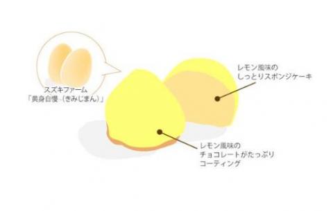 スズキファーム＜黄身自慢＞を使用！パティスリー グランネージュのレモンケーキ（15個入）【スイーツ レモン 洋菓子 焼き菓子 ピューレ ケーキ 手土産 おやつ 贈り物 グランネージュ レモンケーキ パ