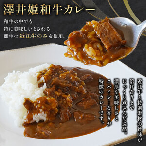 近江牛 カレー 2種 セット 澤井姫和牛 カレー  200g × 2袋 近江牛 カレー 160g × 5袋 セット 計 7袋 カレー( 黒毛和牛 カレー 牛肉 カレー 1200g レトルト カレー 肉