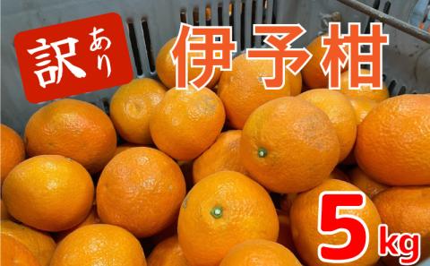 【1月中旬から発送予定】伊予柑 5キロ（ 訳あり ）| 伊予柑 いよかん 伊予柑 いよかん 伊予柑 いよかん