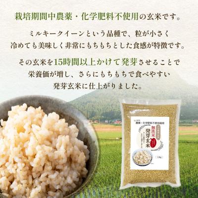 ふるさと納税 玖珠町 栽培期間中農薬・化学肥料不使用 発芽玄米 (大分県産ミルキークイーン) 1.5kg×1袋 無洗米 |  | 02