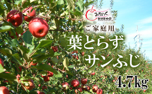 
                  No.1927 ふくしまの葉取らずサンふじ　ご家庭用　約4.7kg【2025年度発送】
                