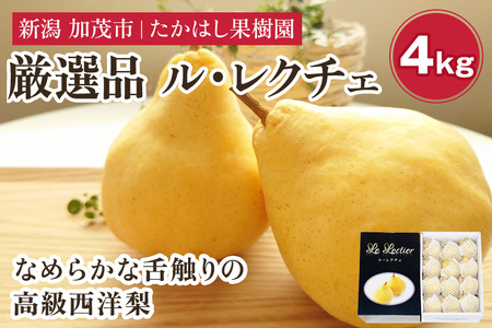 【2026年先行予約】たかはし果樹園 謹製 新潟特産 幻の洋梨ル・レクチェ 厳選品 約4kg 《11月下旬～順次配送》