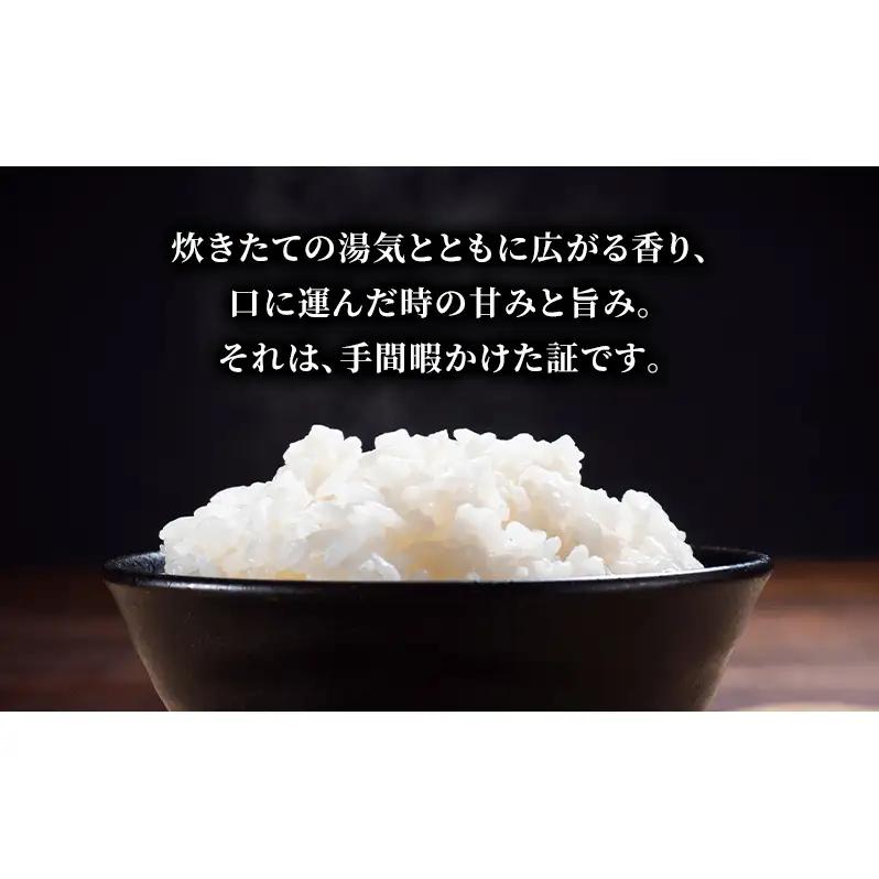 幸結び コシヒカリ 10kg 米 お米 精米 白米 こめ コメ 令和7年産 令和7年 福島県 郡山市