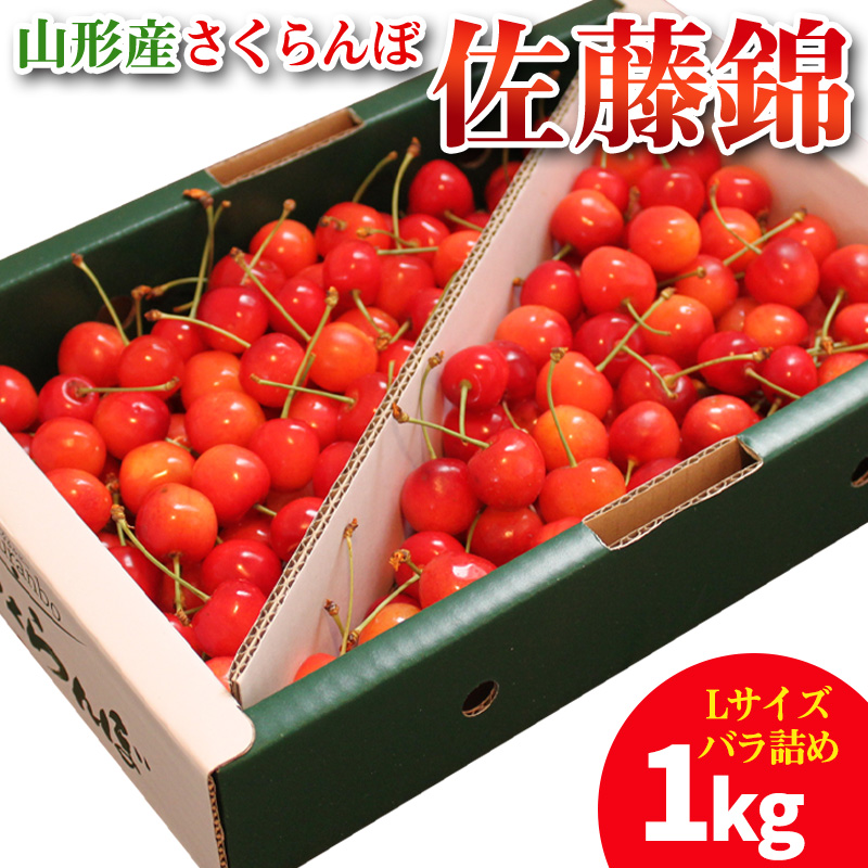 山形産 さくらんぼ 佐藤錦 1kg Lサイズ バラ詰め FY25-099