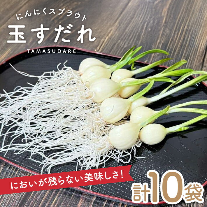 【ふるさと納税】「福地ホワイト」にんにく使用 にんにくスプラウト 玉すだれ すこやかセット 10袋 山形県酒田産 冷蔵便 ※離島発送・着日指定不可 発芽にんにく ガーリックスプラウト 完全室内型水耕栽培 農薬不使用 新鮮 安心 安全 酒田市 春 夏 秋 冬