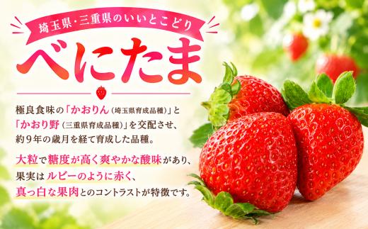 【先行予約】 あまりん べにたま いちご 苺 イチゴ 各1パック 合計2パック いちご 苺 イチゴ フルーツ いちご イチゴ 新鮮 いちご 苺 イチゴ 甘い いちご 苺 イチゴ くだもの いちご 苺 