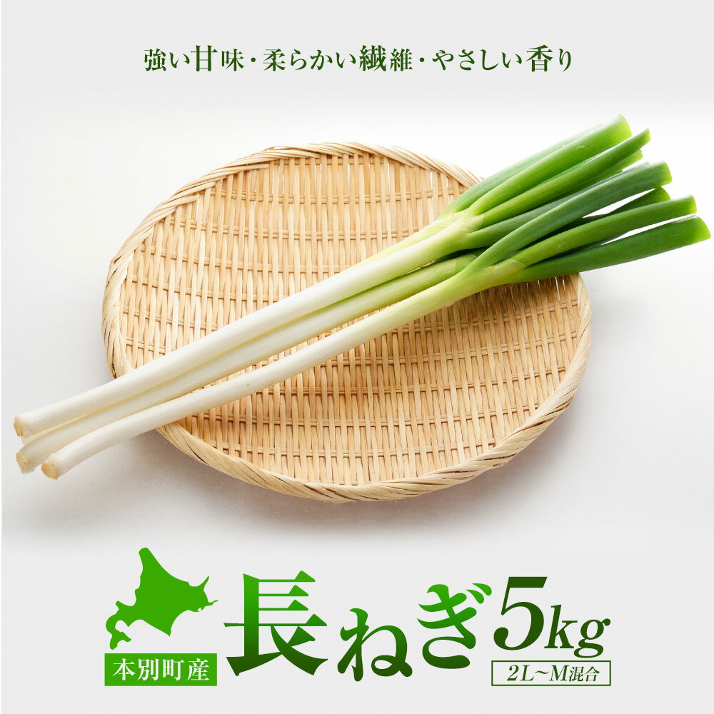 【ふるさと納税】 本別産 長ねぎ 5kg 2L～M 混合 石上農場《11月上旬から1月下旬頃出荷》北海道 本別町 送料無料 北海道 本別町 十勝 本別町産 ねぎ 長ネギ 野菜 5キロ