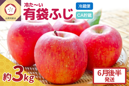 【6月後半発送】りんご ふじ 贈答用 約 3kg 【 有袋栽培 CA貯蔵 クール便 果物類 林檎 リンゴ ふじりんご フルーツ 青森りんご 五所川原 春 】 