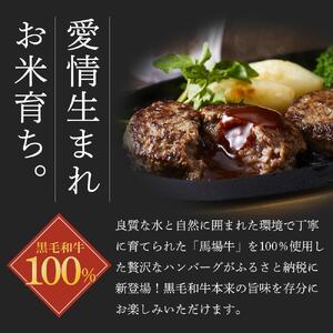 馬場牛 牛肉100％ ハンバーグ 16個 ハンバーグ