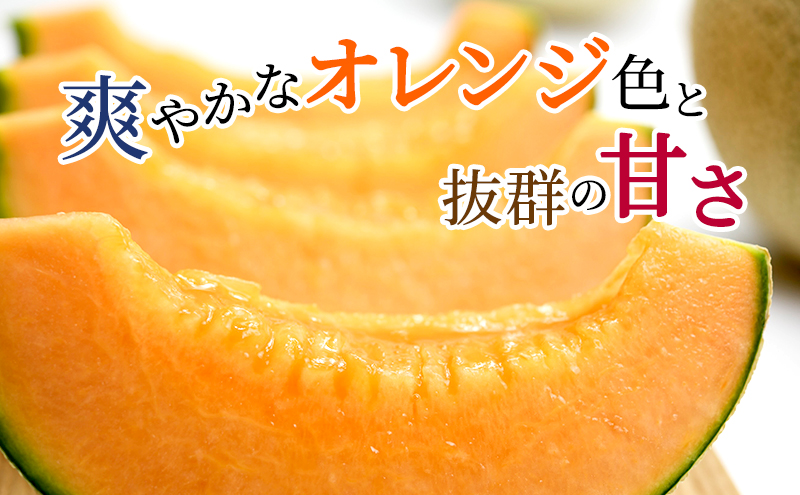【2025年6月下旬より発送】北海道 富良野 赤肉 メロン『厳選』 4～5玉 約計8kg (松本農園) メロン フルーツ 果物 新鮮 甘い 贈り物 ギフト 道産 ジューシー おやつ ふらの ブランド 