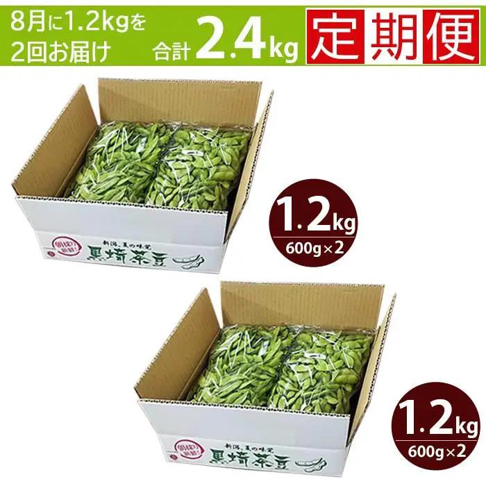 【先行予約・2回お届け定期便】朝採り くろさき茶豆 1.2kg×2回（計2.4kg）｜芳醇な香りと濃厚な旨み〈GI登録産品〉2026年8月発送