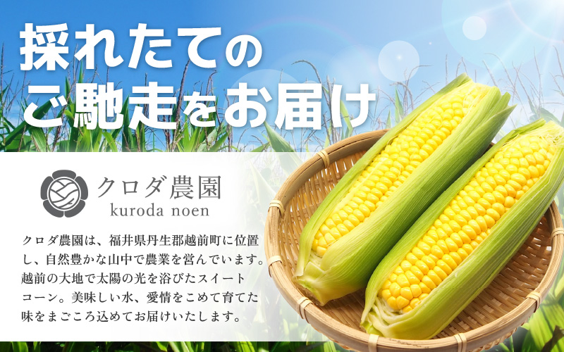 【先行予約】【訳あり】農場直送 鮮度抜群 スイートコーン( とうもろこし ) 約2.5kg（6本～8本) 【2025年7月上旬から順次発送予定】 【お楽しみ バーベキュー 冷凍保存可能 焼肉 おやつ 