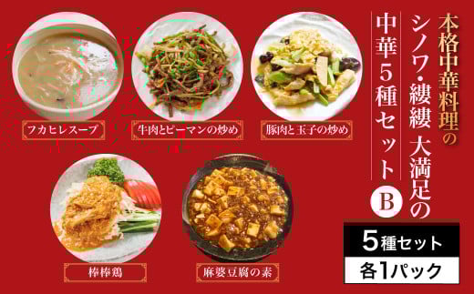 シノワ・縷縷　大満足の中華5種セットB　ふるさと納税 中華  四川料理 5種 セット フカヒレスープ 牛肉とピーマンの炒め 豚肉と玉子の炒め 棒棒鶏 麻婆豆腐の素 小分け 冷凍 使いやすい 真空 パック 京都府 福知山市 FCBL012