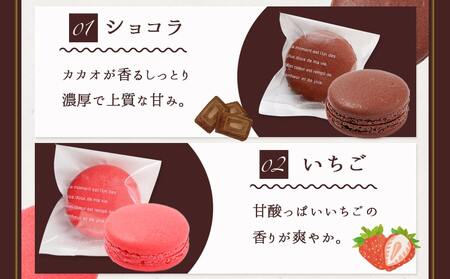 静マカロン ふるさと香る彩りセレクト 6種6個入≪みやこんじょ特急便≫_LE-C206-Q_(都城市) マカロン スイーツ ショコラ いちご 日向夏 ショコラピスタチオ バイオ茶 黒ごま