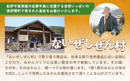 伊勢志摩産 こだわりみかん 約6kg 令和6年 11月 ／ ないぜしぜん村 みかん ミカン 蜜柑 送料無料 産地直送 フルーツ 果物 内瀬 甘い 濃厚 ジューシー  先行予約 三重県 南伊勢町