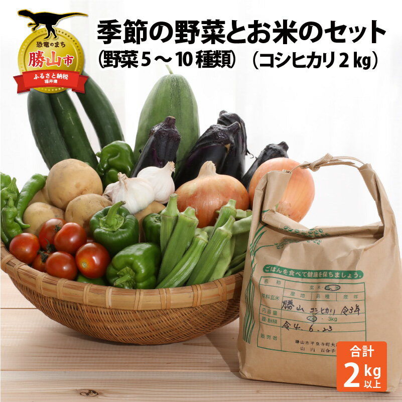 【ふるさと納税】季節の野菜5～10種類と令和7年産 コシヒカリ2kg |米 お米 おこめ おコメ こしひかり 2キロ やさい