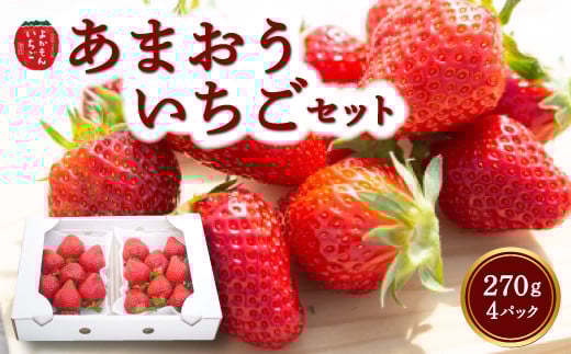 よかもんいちご あまおう苺セット4パック 【2026年3月 発送予定】 あまおう いちご イチゴ 苺 よかもん苺 朝摘み 穫れたて 果物 くだもの フルーツ デザート 福岡県 うきは市