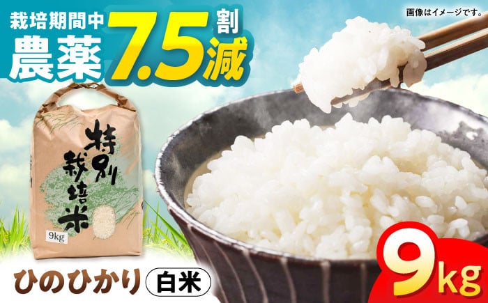 「ひのひかり」9kg 米 こめ コメ お米 おこめ 白米 精米 白ご飯 ヒノヒカリ 長崎県産