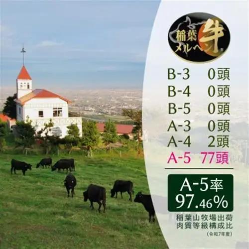 稲葉メルヘン牛(A5)　牛切り落とし400g【配送不可地域：離島・北海道・沖縄県・東北・中国・四国・九州】【1291433】