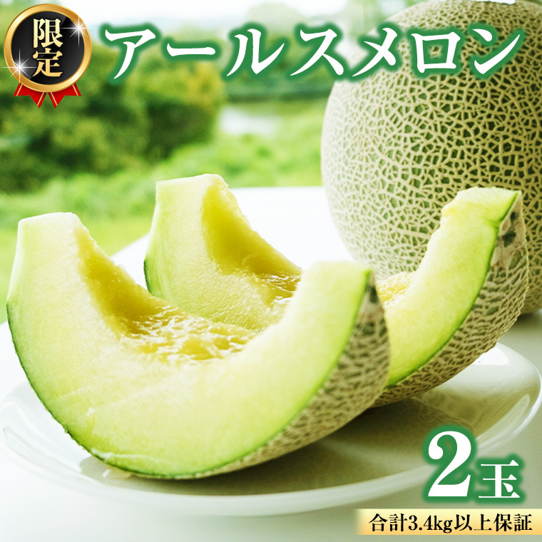 【2026年8月下旬発送開始】 季節 限定 ！甘さ満点 アールスメロン 2玉 入箱 果物 フルーツ 農家直送 産直 青肉メロン 特産品 マスクメロン メロン くだもの 茨城 [BC045sa]