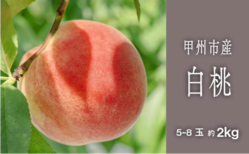 
            甲州市完熟白桃 『透明感ある甘さ広がる純白の果実』約2kg 5～8玉【2025年発送】（SHP）B15-458 【桃 もも モモ 令和7年発送 期間限定 山梨県産 甲州市 フルーツ 果物】
          