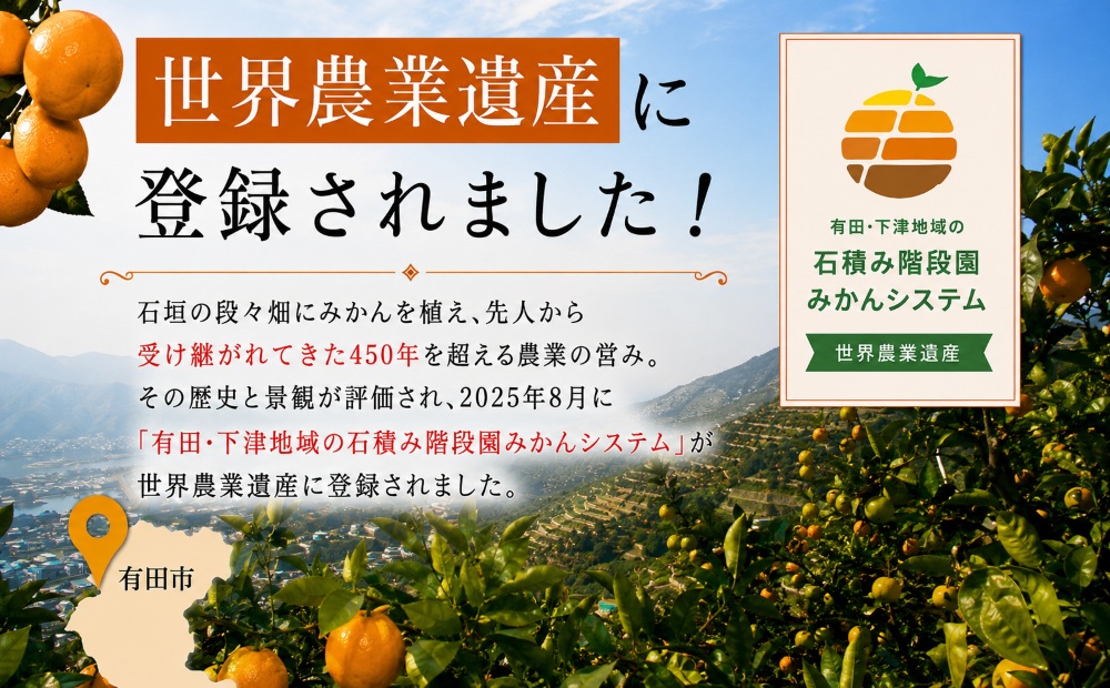 有田みかん「未来への虹」10kg(A2-2)