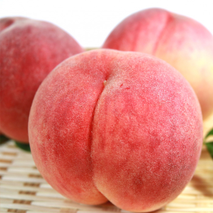 ☆フルーツ王国山形☆[ご家庭用] 白桃 〇秀品 3kg [やわらか