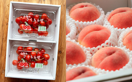 【定期便4回】ノノハナフルーツ 山形市で人気の果物５品種食べきり定期便【令和8年産先行予約】FS25-077