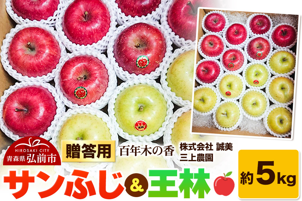 りんご【先行受付】贈答用 百年木の香 三上農園 サンふじ＆王林 約5kg