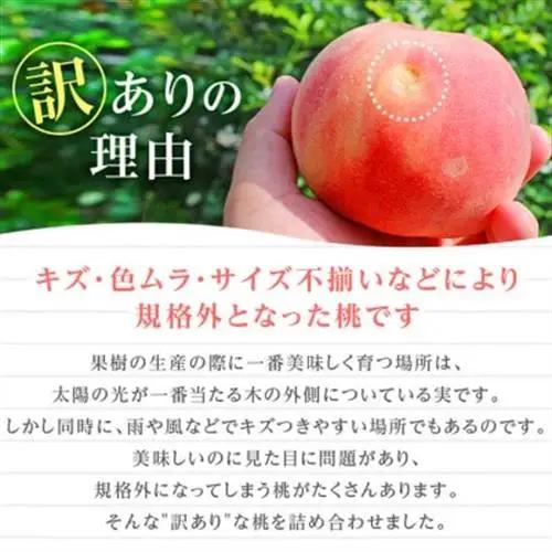 2027年発送 先行受付【訳あり】山梨もも2kg以上 5～8玉 熟練農家厳選の旬の桃 ご家庭用【配送不可地域：離島・沖縄県】【1277692】