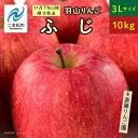 【ふるさと納税】《2024年11月下旬以降順次》羽山のりんご ふじ3Lサイズ10kg【斎藤りんご園】 りんご 果物 フルーツ 羽山りんご 10kg りんご ふじ 人気 くだもの おすすめ お中元 お歳暮 ギフト 二本松市 ふくしま 福島県 送料無料 【斎藤りんご園】