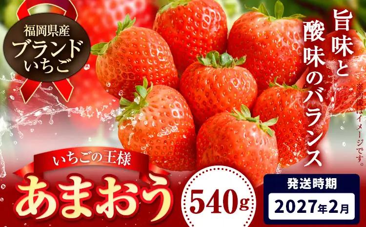 いちご あまおう 先行予約 いちご 大量 540g 選べる発送時期 定期便 フルーツ《2027年2月上旬-2月末頃出荷》苺 旬 くだもの 果物 福岡県 小竹町
