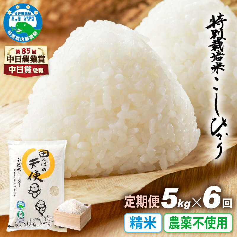 【ふるさと納税】【中日賞受賞】《6ヶ月定期便》農薬不使用 こしひかり 5kg×6ヶ月連続 計30kg 特別栽培米コシヒカリ【精米】福井県認証区分1取得「田んぼの天使」越前町 【コシヒカリ 精米 こしひかり 5キロ お米 米 コメ 農薬化学肥料不使用 福井県 越前町】