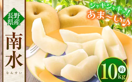 【先行予約】信州生まれの優れもの！糖度１５度。超甘い、シャリ感、硬い、ジューシー、日保ちする「南水（なんすい）」10ｋｇ｜ 梨 なし 南水 なんすい 長野県 松本市 果物 フルーツ 信州産 ふるさと納税
