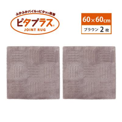 ふるさと納税 海南市 洗えるジョイントマット　60×60cm　ブラウン　2枚組　ピタプラス　吸着