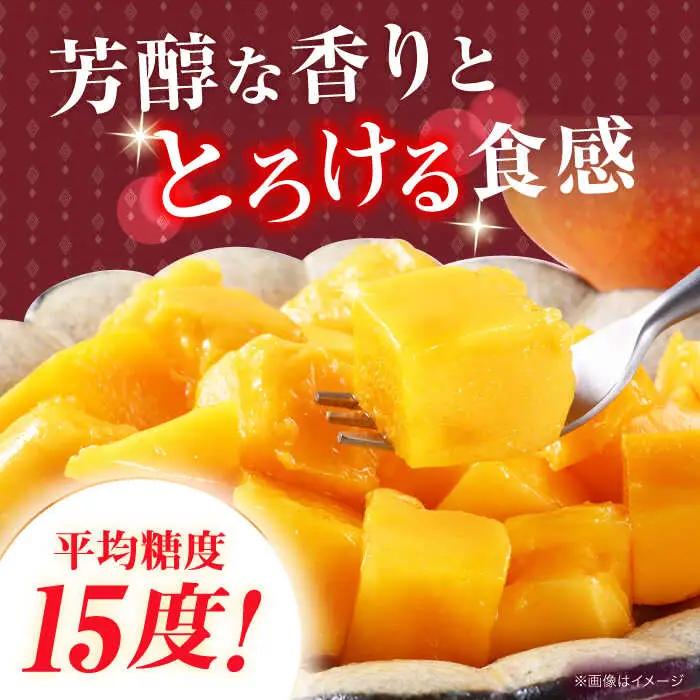 【冷凍】プリンセスマンゴー 約1kg[QAT013] マンゴー