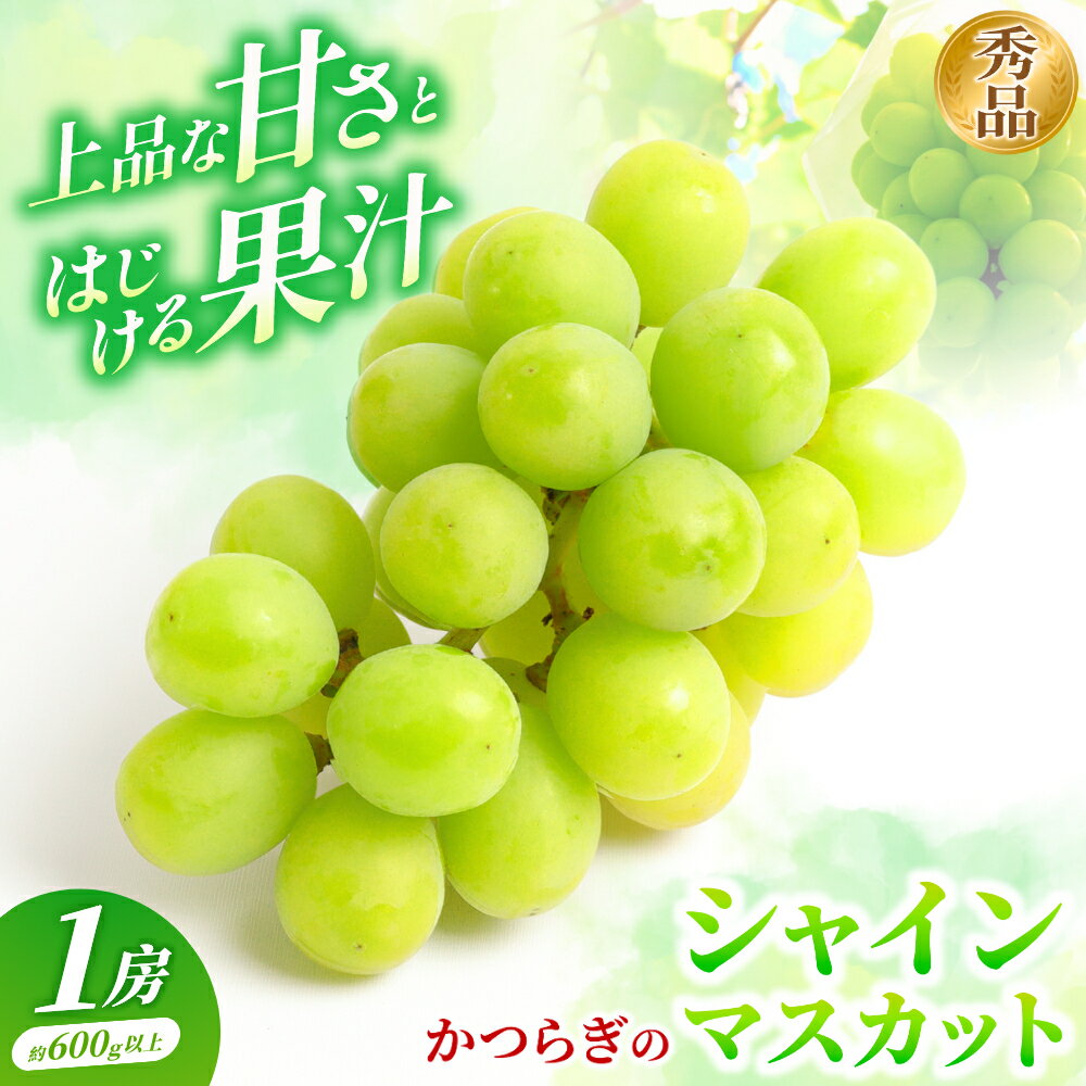 【ふるさと納税】シャインマスカット 1房（600g以上）【2025年8月中旬以降出荷】【MG24】