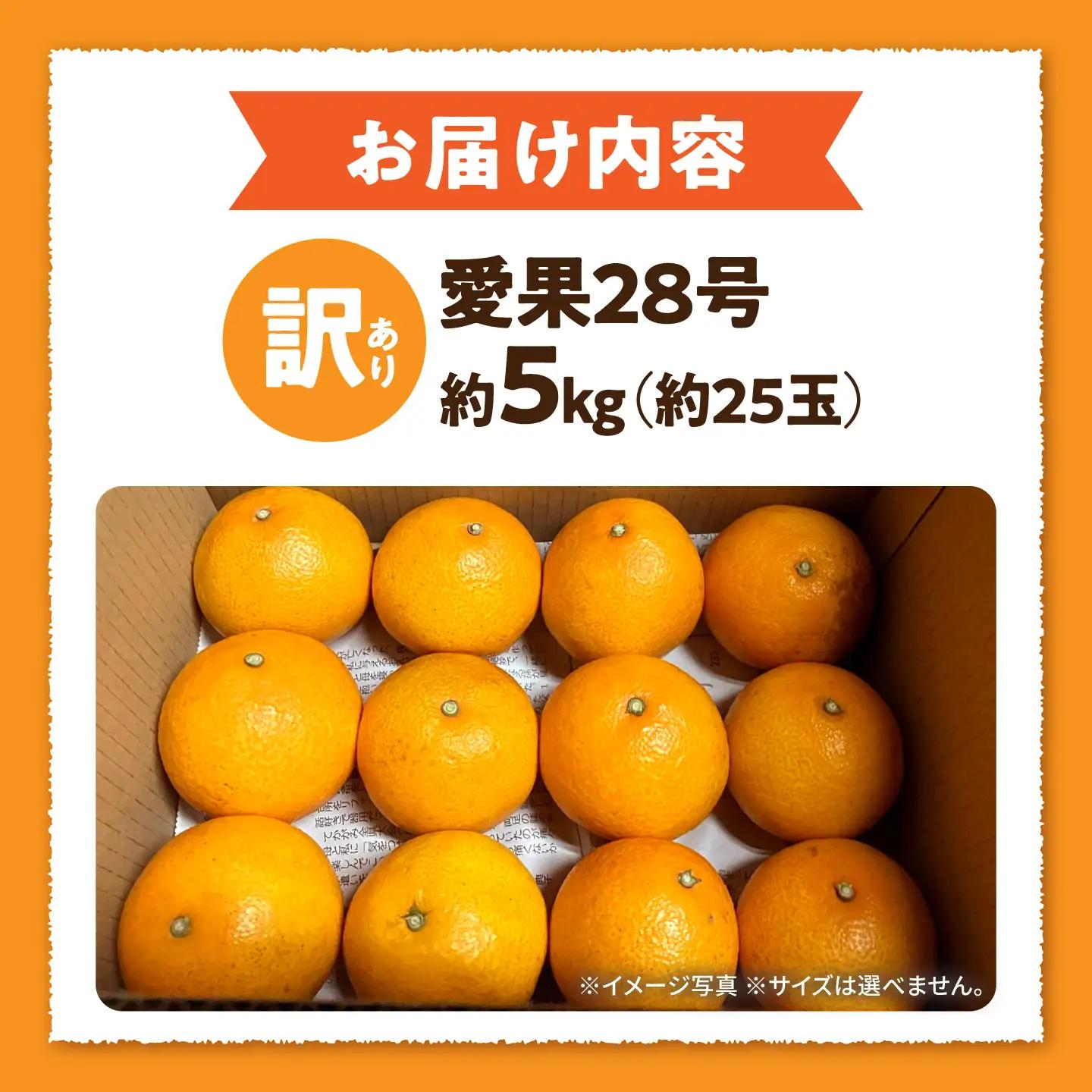 みかん 訳あり 愛果28号 サイズ不揃い 約5kg 約25玉【12月上旬から12月下旬まで順次発送】/ フルーツ 果物 蜜柑 ミカン オレンジ 訳あり 訳アリ 小玉 甘い 先行予約 5kg 愛媛 / 