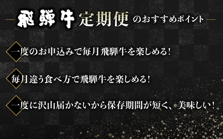 【毎月お届け】飛騨牛 5回定期便 （スライス すき焼き しゃぶしゃぶ 焼肉 牛串 ）5回 お楽しみ 食べ比べ 牛肉 肉 和牛[Q1675x]